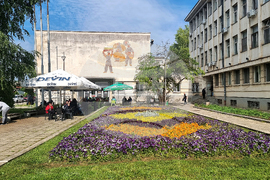 Разград - цветя - засаждане