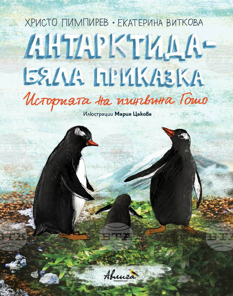 Христо Пимпирев разказва историята на пингвина Гошо в книга за деца