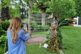 Румъния -  Фестивал на флоралното изкуство в Тимишоара