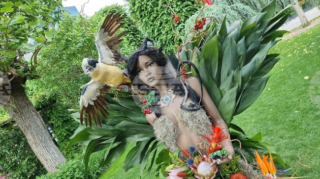 Румъния - Фестивал на флоралното изкуство в Тимишоара