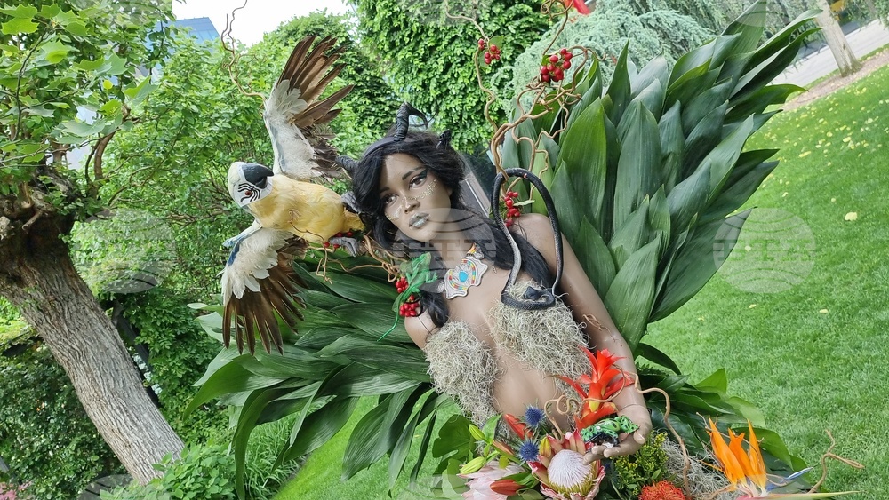 Румъния -  Фестивал на флоралното изкуство в Тимишоара