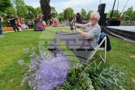 Румъния -  Фестивал на флоралното изкуство в Тимишоара