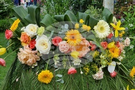 Румъния -  Фестивал на флоралното изкуство в Тимишоара