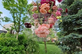 Румъния -  Фестивал на флоралното изкуство в Тимишоара