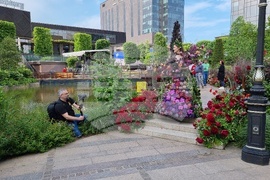 Румъния -  Фестивал на флоралното изкуство в Тимишоара