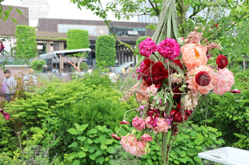 Румъния -  Фестивал на флоралното изкуство в Тимишоара