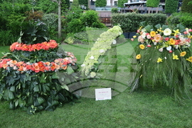 Румъния -  Фестивал на флоралното изкуство в Тимишоара