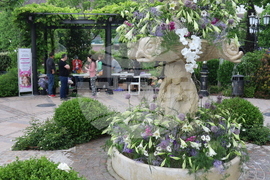 Румъния -  Фестивал на флоралното изкуство в Тимишоара