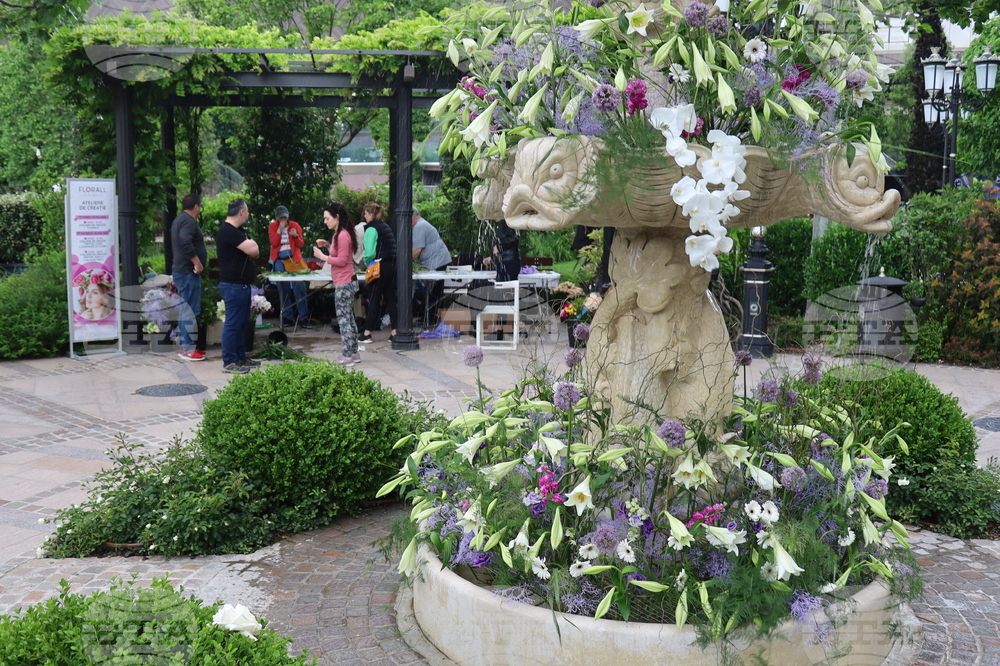 Румъния -  Фестивал на флоралното изкуство в Тимишоара