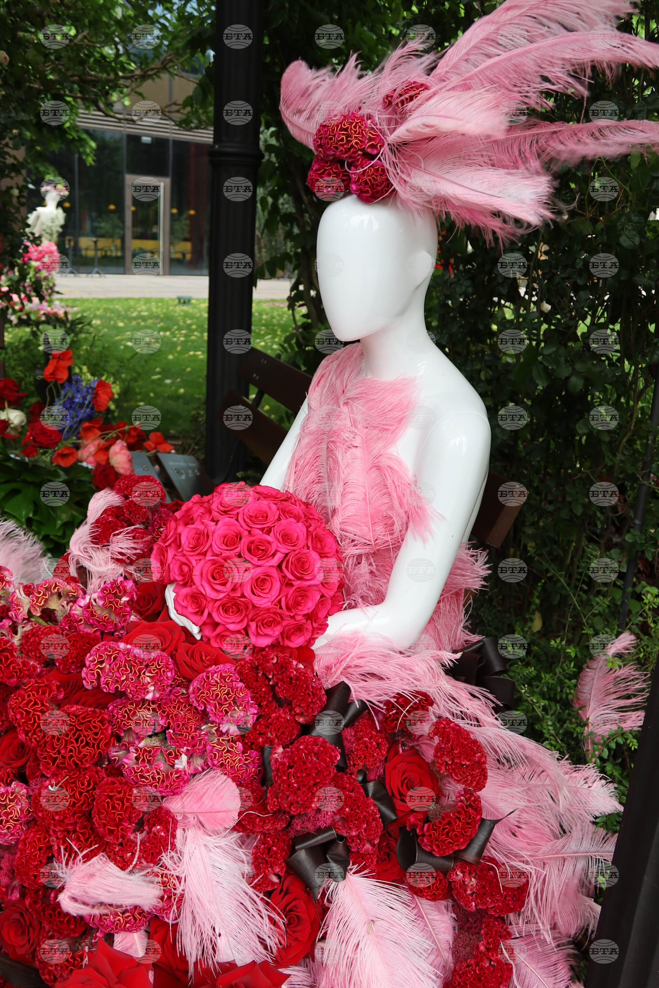 Румъния -  Фестивал на флоралното изкуство в Тимишоара