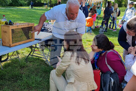 Международен ден на пчелите - фестивал