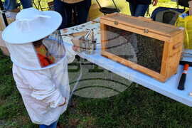 Международен ден на пчелите - фестивал