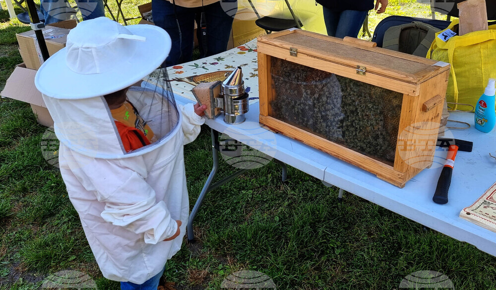 Международен ден на пчелите - фестивал