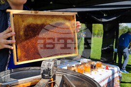 Международен ден на пчелите - фестивал