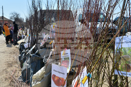 Исперих - кооперативен пазар - овощни дръвчета