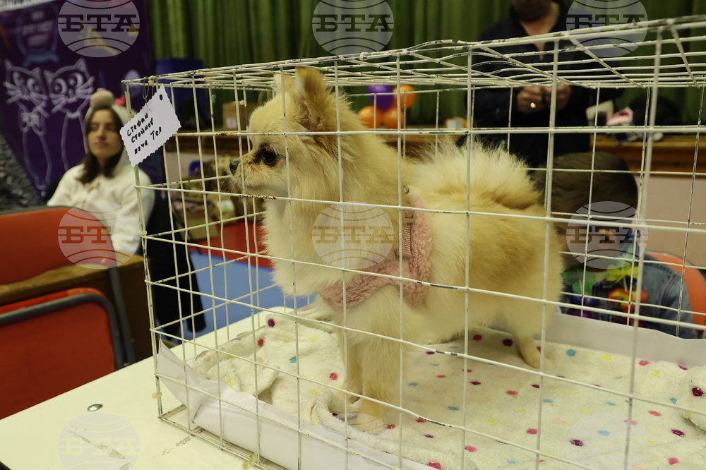 Габрово - карнавал - ревю