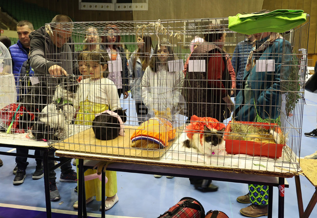 Габрово - карнавал - ревю