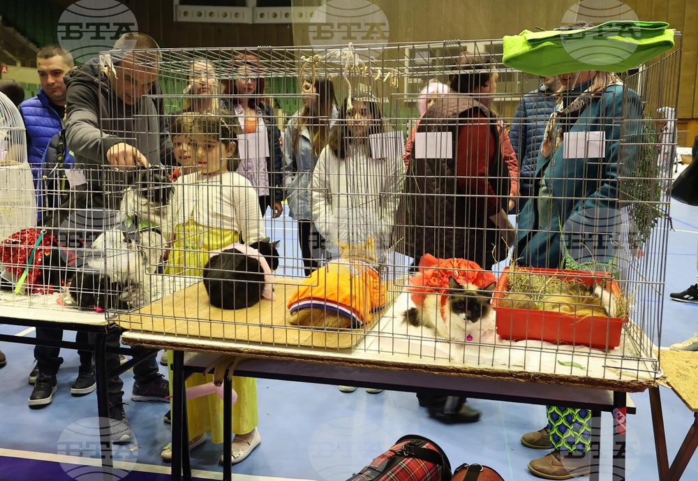 Габрово - карнавал - ревю