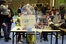 Габрово - карнавал - ревю