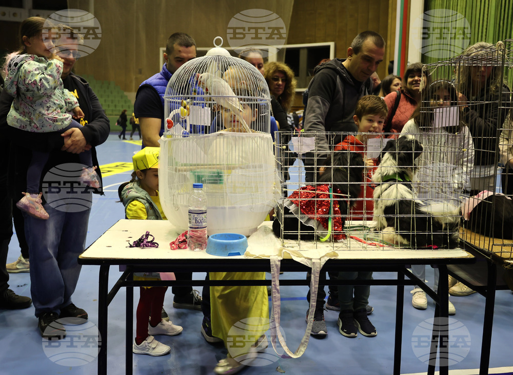 Габрово - карнавал - ревю