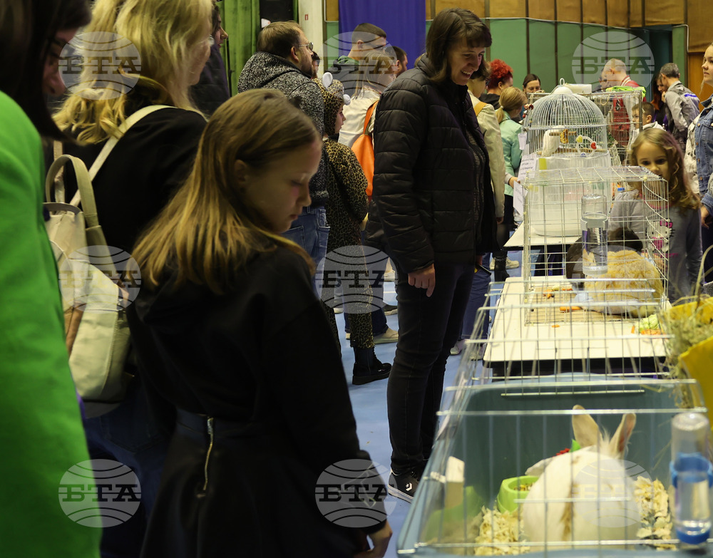 Габрово - карнавал - изложба на котки