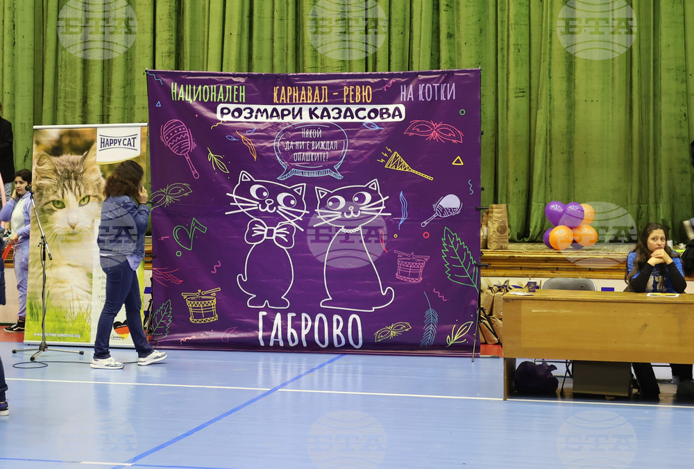 Габрово - карнавал - изложба на котки