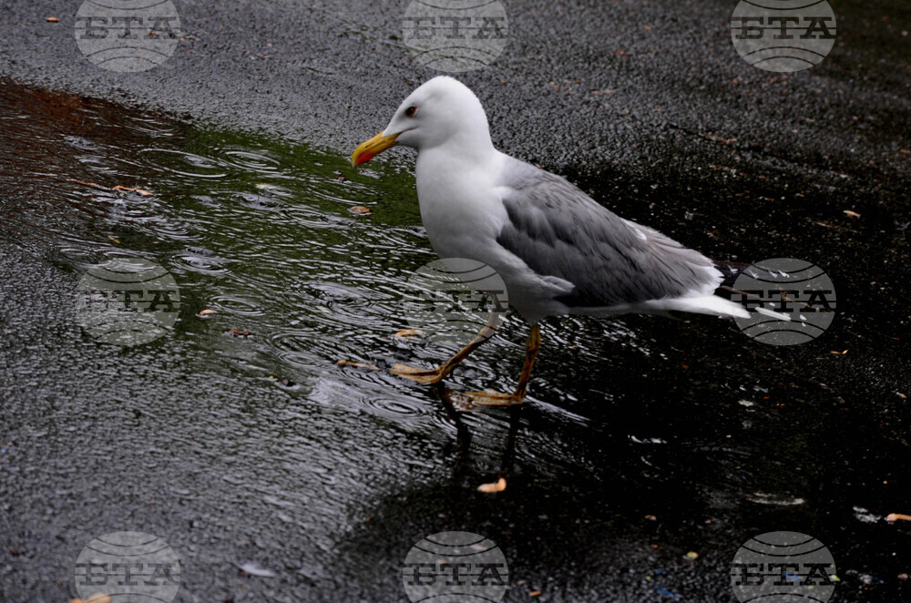Бургас - дъждовно време