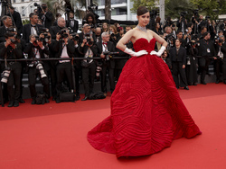 France Cannes 2023 Killers of the Flower Moon Red Carpet