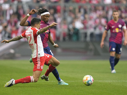 Germany Soccer Bundesliga