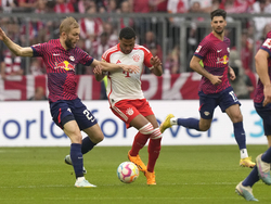 Germany Soccer Bundesliga