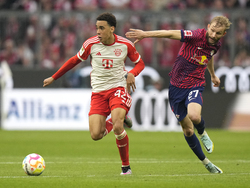 Germany Soccer Bundesliga