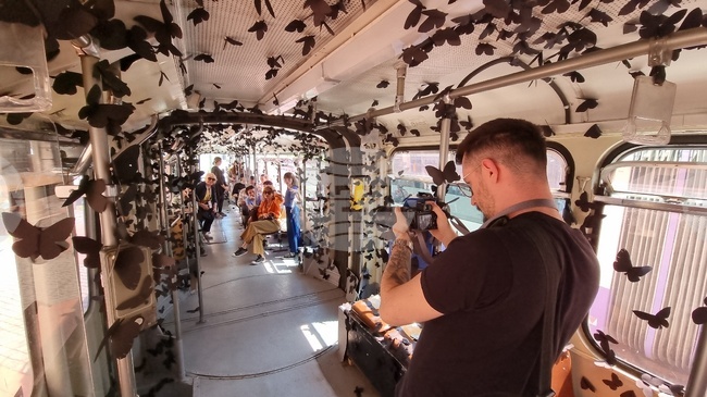 Румъния - Тимишоара - трамвай с черни пеперуди