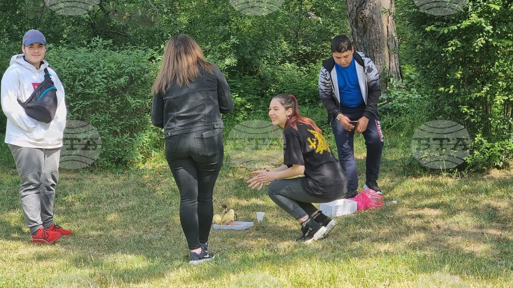 Ученици представят в изложба на живо домашните си любимци в Добрич