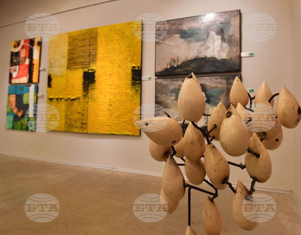 Галерията в Разград очаква до първи април творбите на български и чуждестранни творци за участие в изложбата "Лудогорие" 