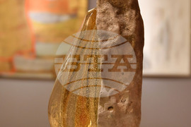 Разград - „Лудогорие 2023" - изложба