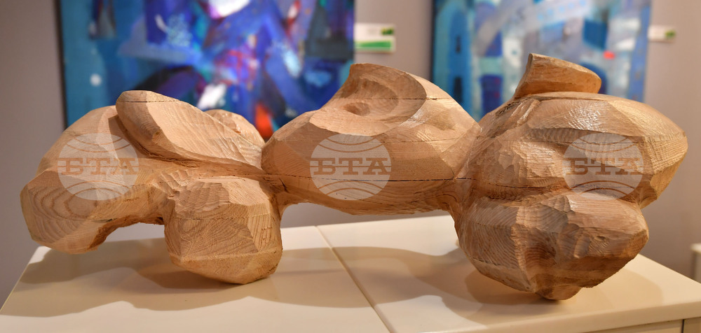 Разград - „Лудогорие 2023" - изложба