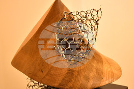 Разград - „Лудогорие 2023" - изложба