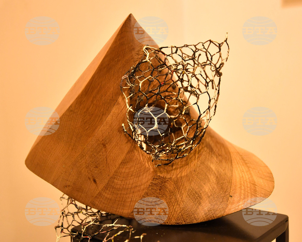 Разград - „Лудогорие 2023" - изложба