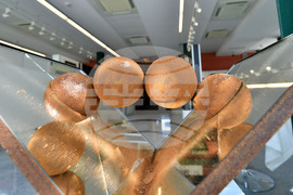 Разград - „Лудогорие 2023" - изложба