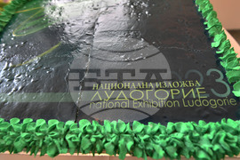 Разград - „Лудогорие 2023" - изложба