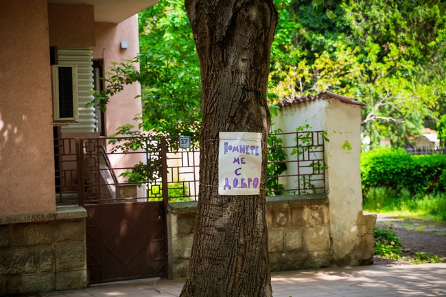 Сдружение "Зеленият пламък": Арт инсталация в подкрепа на гражданска инициатива „Да спасим от изсичане – „подмяна” живите дървета в центъра на град Добрич”