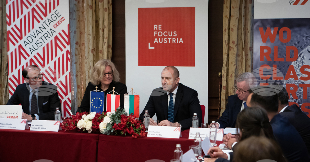 President: Austrian Investments Contribute to Long-Term Stability, Prospect for Bilateral Ties