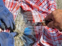 Снимка: Апелативна прокуратура – София