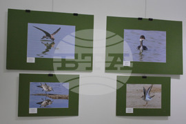 Русе - изложба - посланик Мачей Шимански