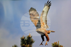 Русе - изложба - посланик Мачей Шимански