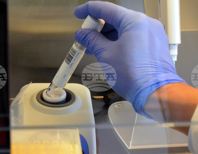  Наблюдава се спад в случаите на КОВИД-19 в Турция