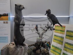 Снимка: Община Чепеларе