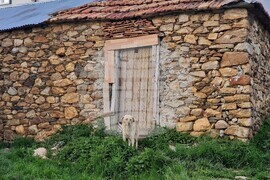 Албания - Шищевец - български средища