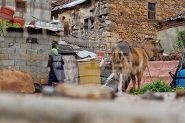 Албания - Пустец - български средища