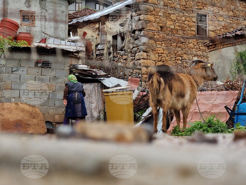 Албания - Пустец - български средища